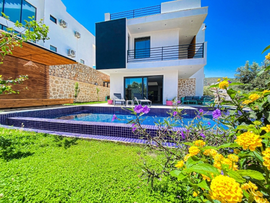 Villa Papatyam