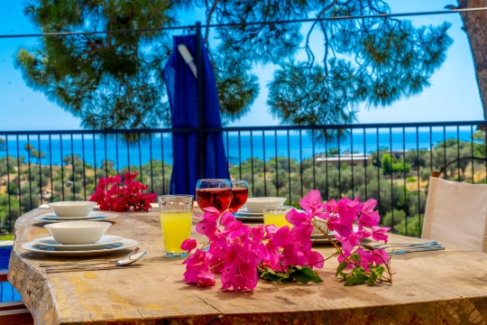 Villa Antik